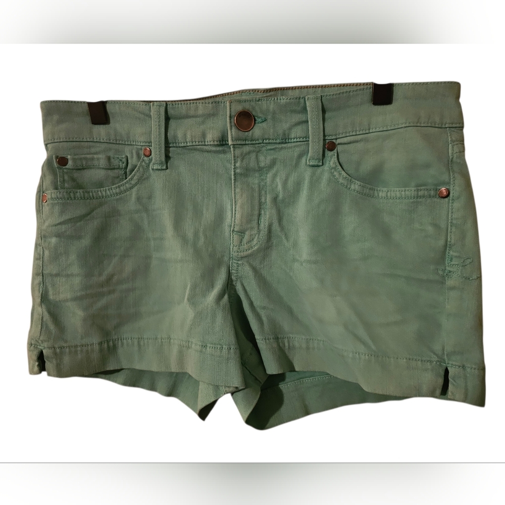 LEVEL 99 Aqua Blue Jean Shorts - 30